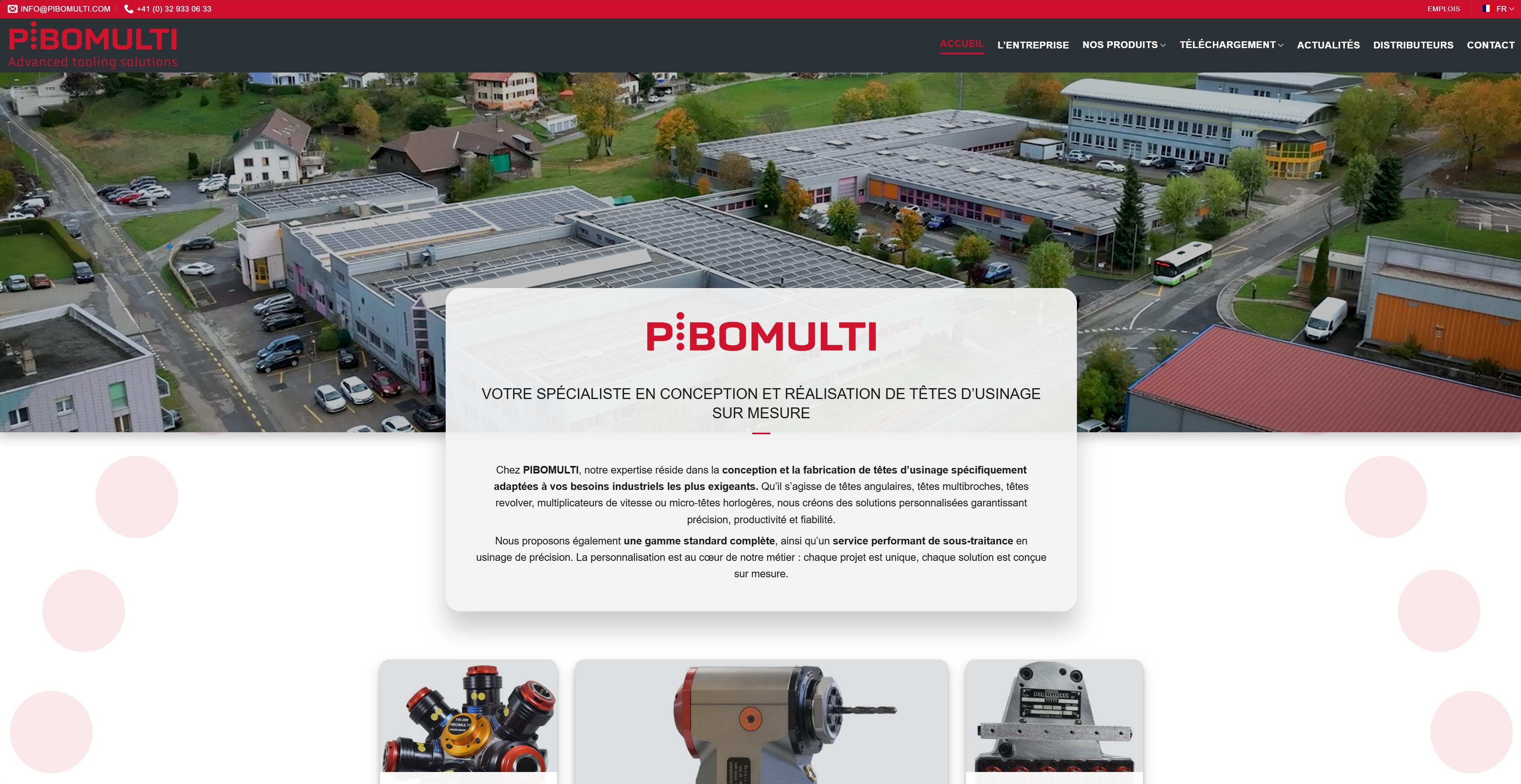 Aperçu du site PIBOMULTI